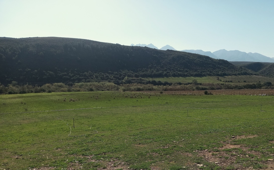 Commercial Property for Sale in George Rural Western Cape